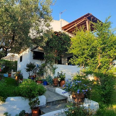 Villa Sonia'S House With Garden Gerakini Esterno foto
