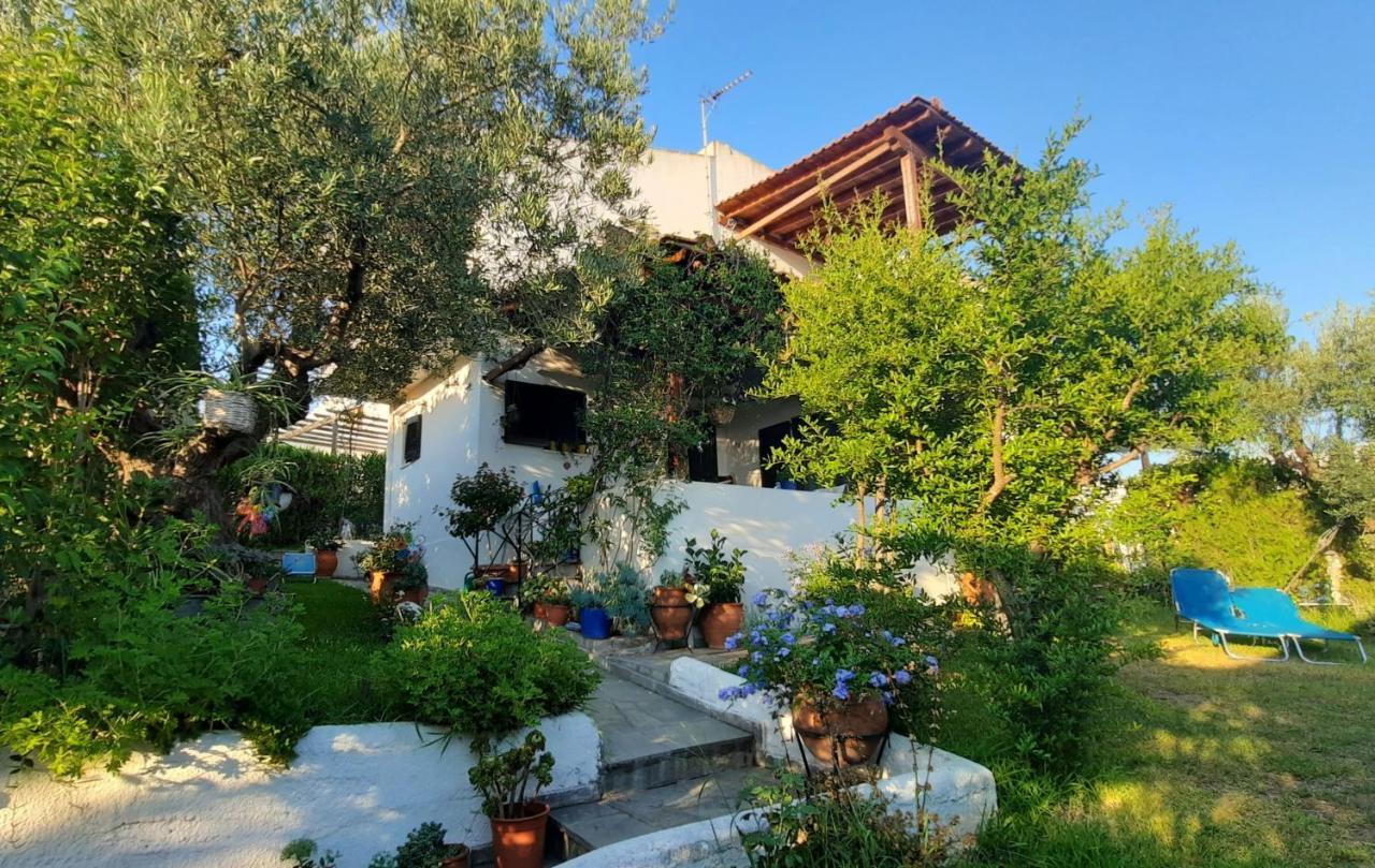 Villa Sonia'S House With Garden Gerakini Esterno foto