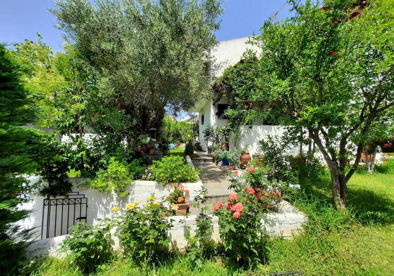Villa Sonia'S House With Garden Gerakini Esterno foto