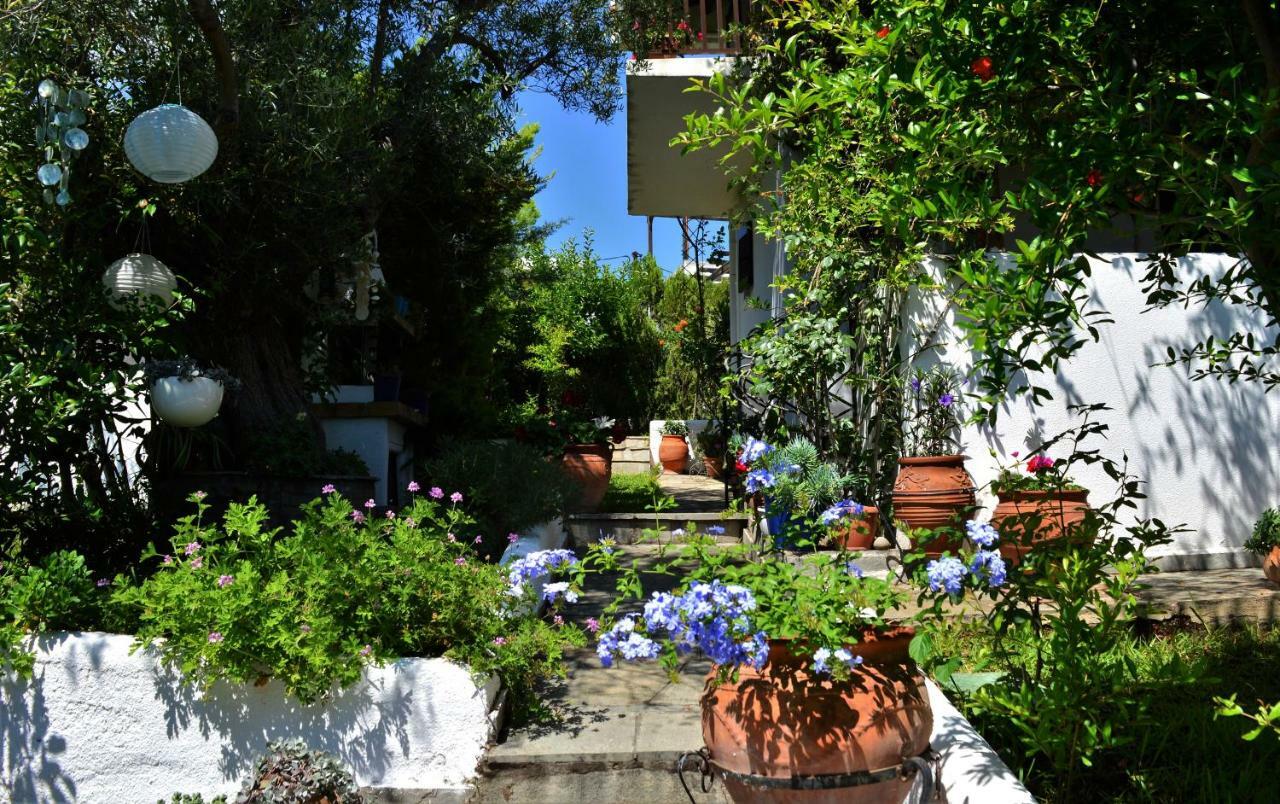Villa Sonia'S House With Garden Gerakini Esterno foto