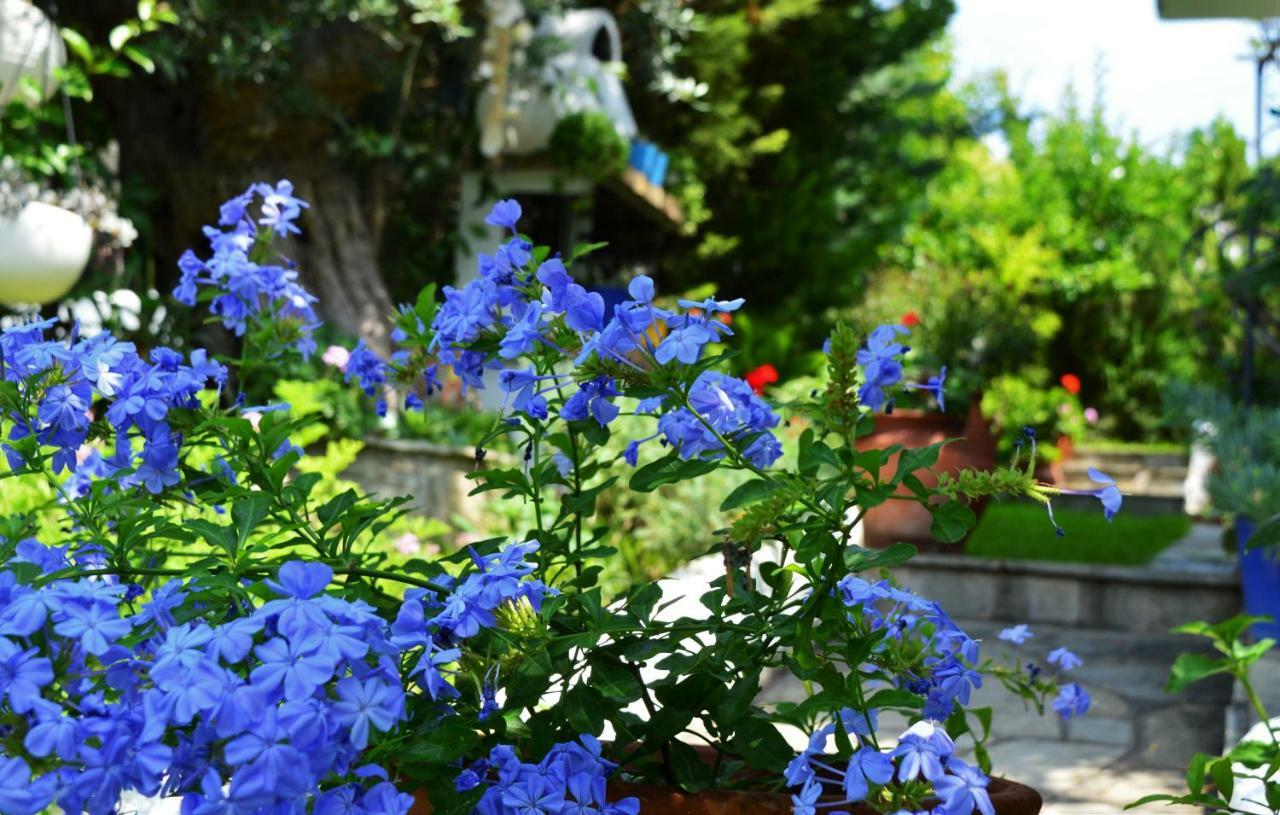 Villa Sonia'S House With Garden Gerakini Esterno foto